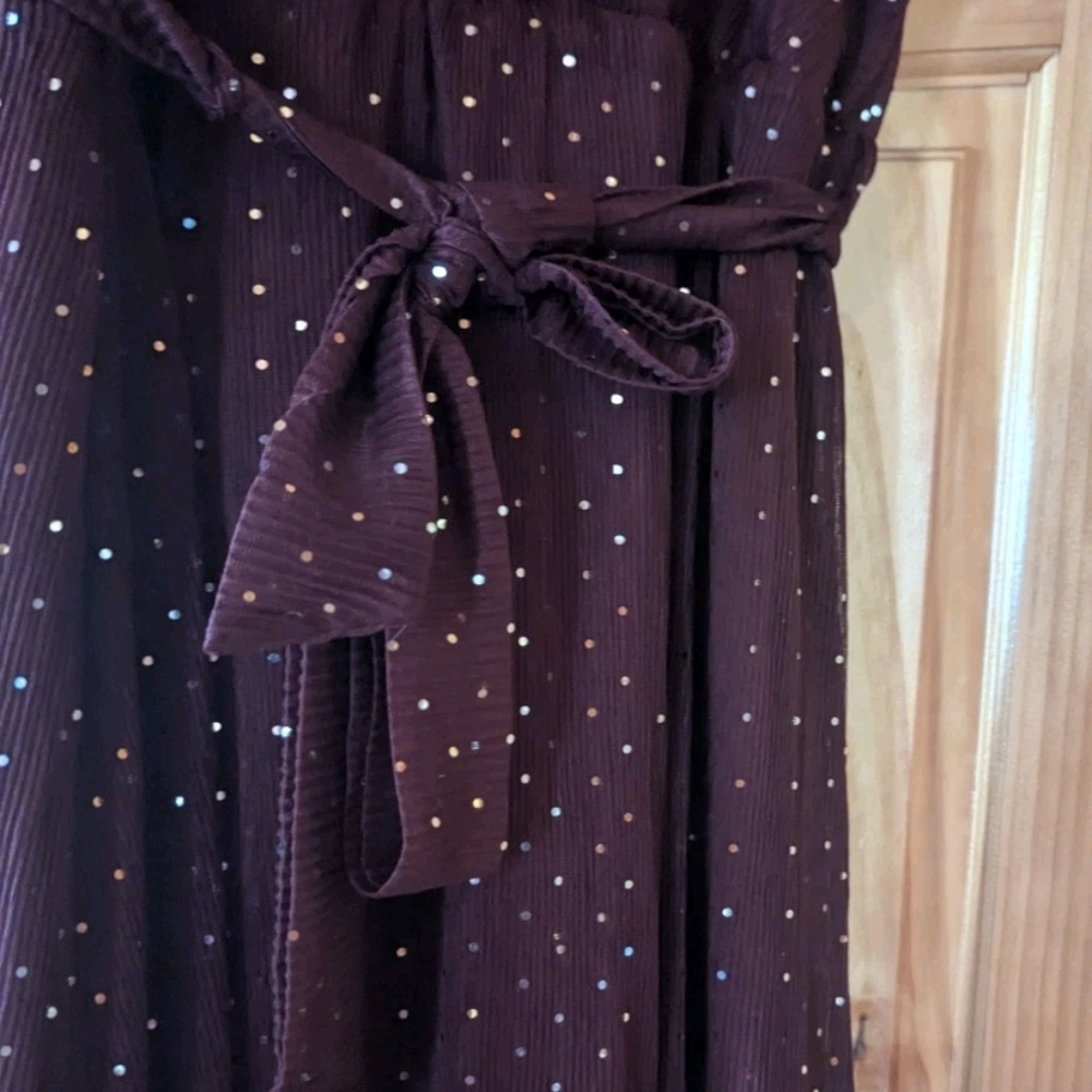 Baltic Born Plum Maxi Dress with Silver Sequins that catch the light. - Picture 5 of 6